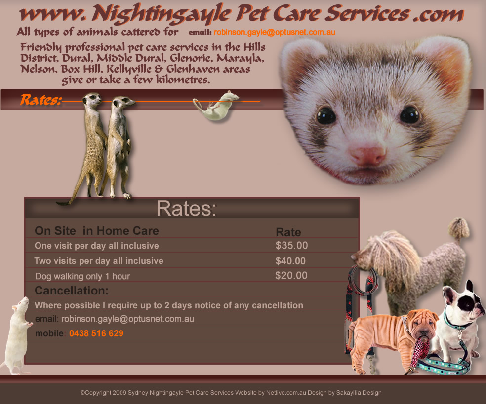 nightingayle contact me page